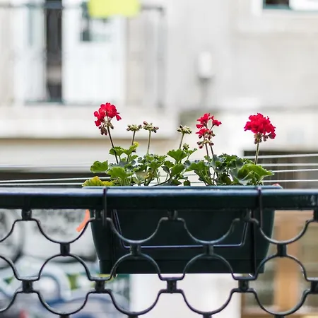 Lejlighed Charming Travessa Do Alcaide